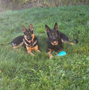 Meet your Posher, Natashia